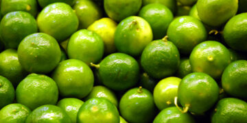 Preço do limão tahiti salta 226% para o produtor em três meses