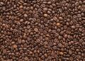 Imagem de apoio: Poder de compra do cafeicultor cai frente a fertilizantes