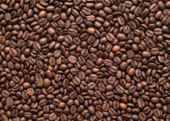 Imagem de apoio: Poder de compra do cafeicultor cai frente a fertilizantes