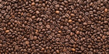 Imagem de apoio: Poder de compra do cafeicultor cai frente a fertilizantes