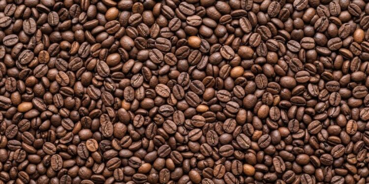 Imagem de apoio: Poder de compra do cafeicultor cai frente a fertilizantes